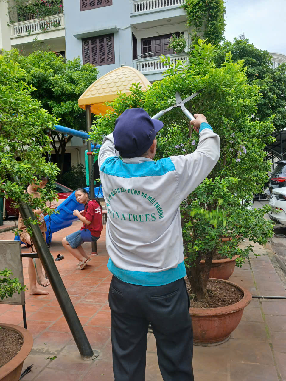 Nhân viên Vinatrees đang tiến hành chăm sóc cây công trình định kỳ